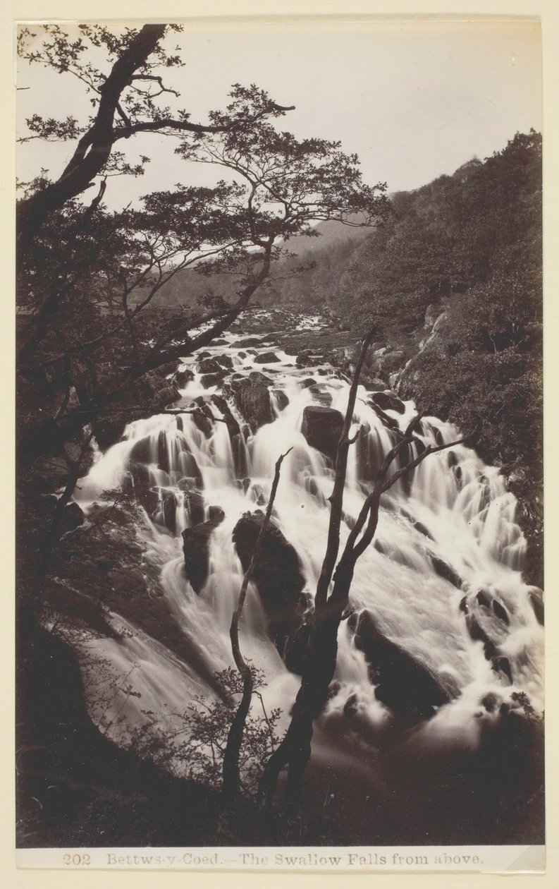 Bettws-y Coed, Vlaštovka padá shora, 186094. od Francis Bedford