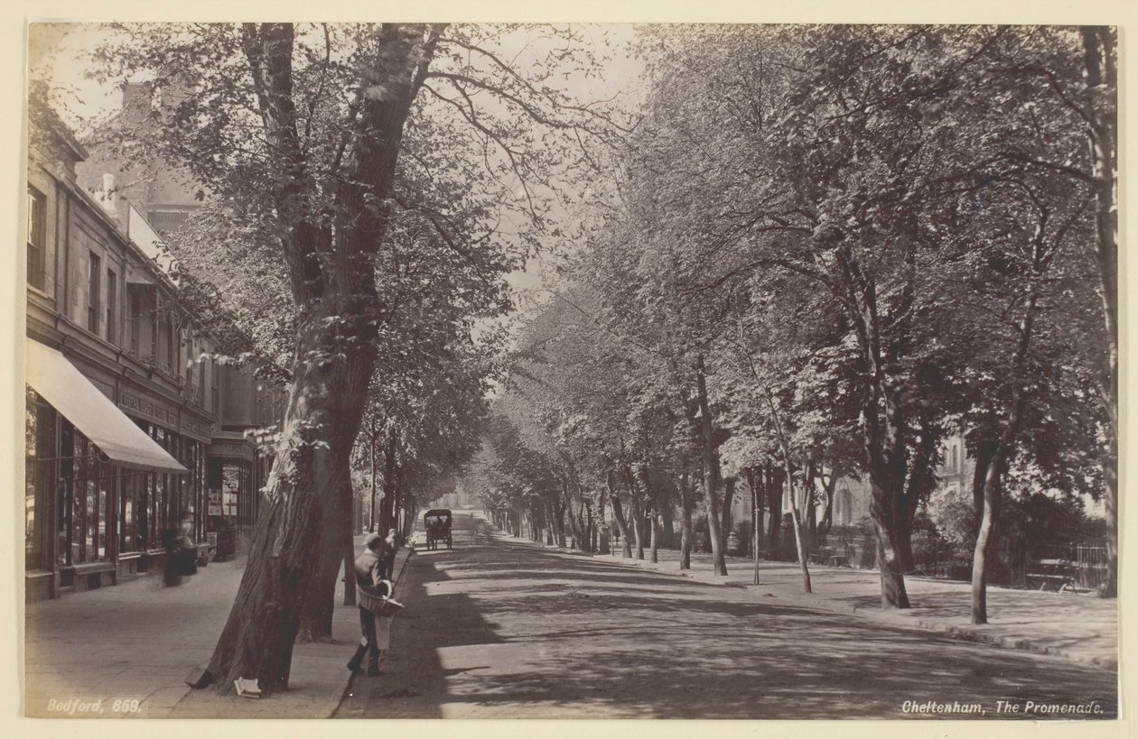 Cheltenham, Promenade, 186094. od Francis Bedford