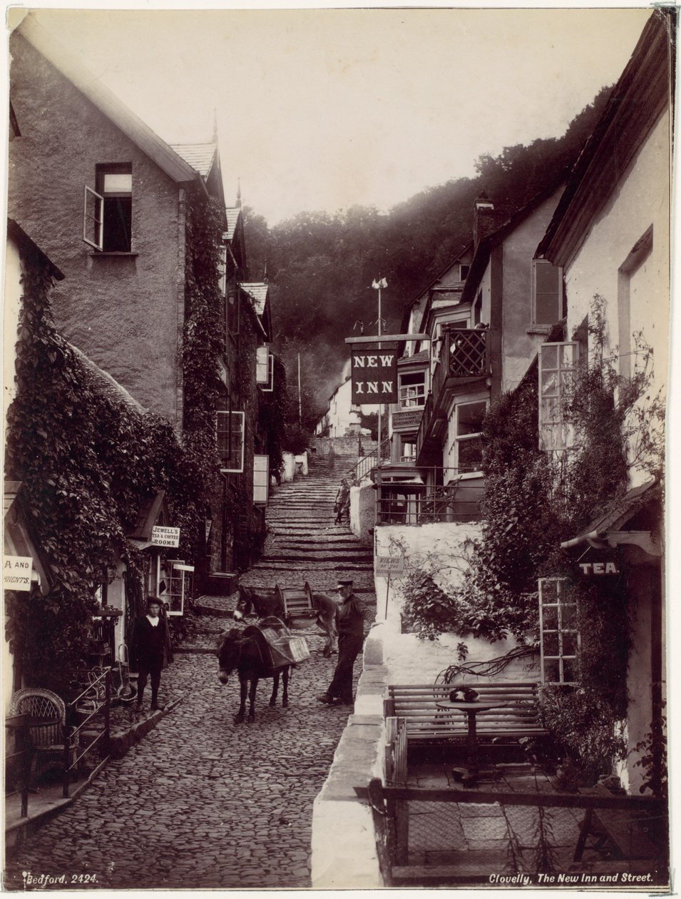 Clovelly, New Inn a ulice od Francis Bedford