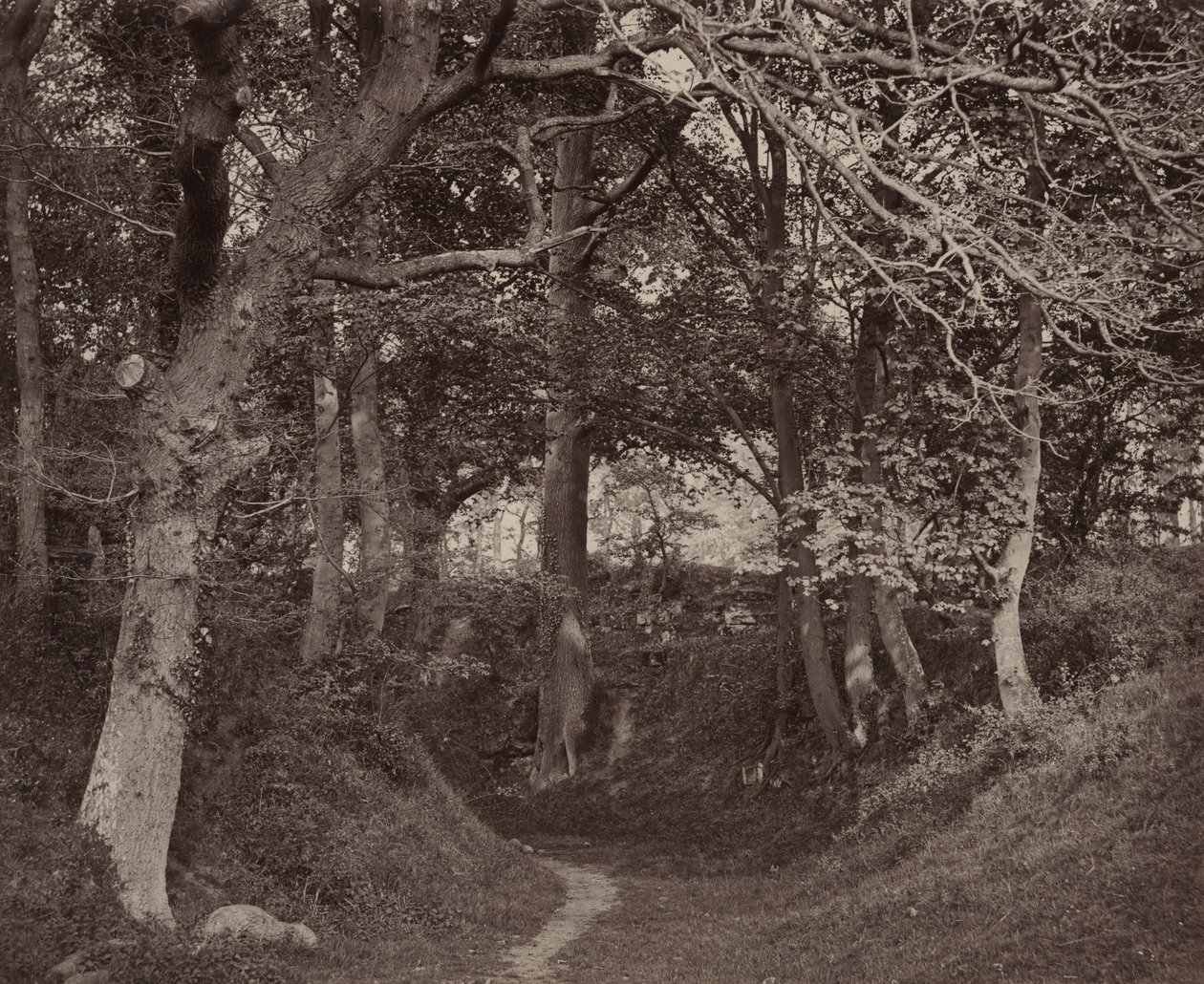Glen Kenilworth,c. 1868 (foto) od Francis Bedford