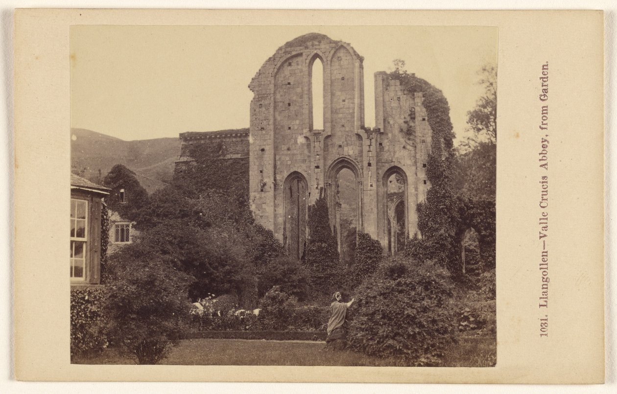 Llangollen - opatství Valle Crucis, ze zahrady od Francis Bedford