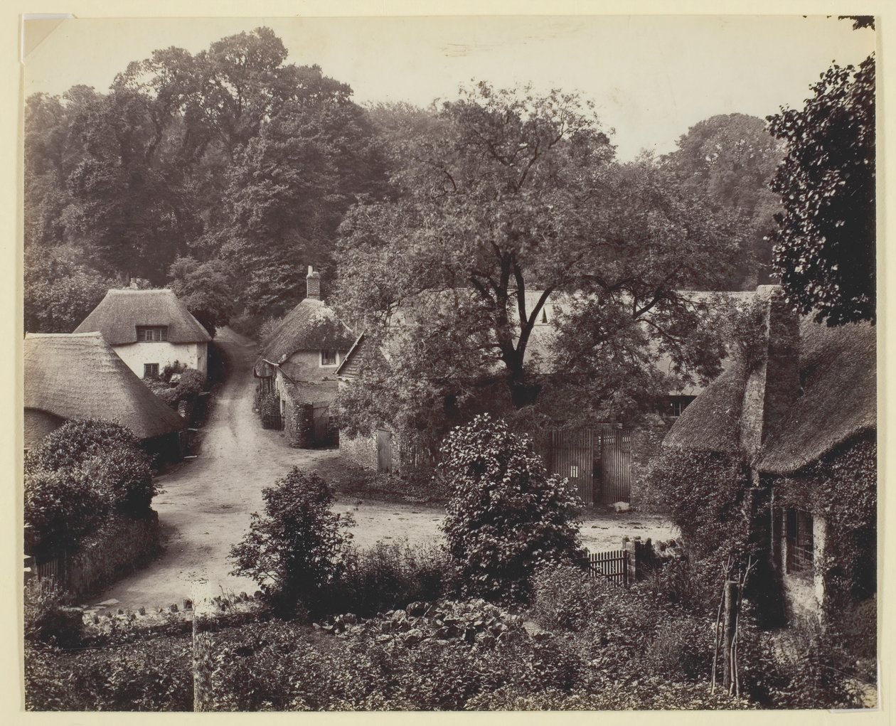 Bez názvu [doškové chalupy], 186094. od Francis Bedford