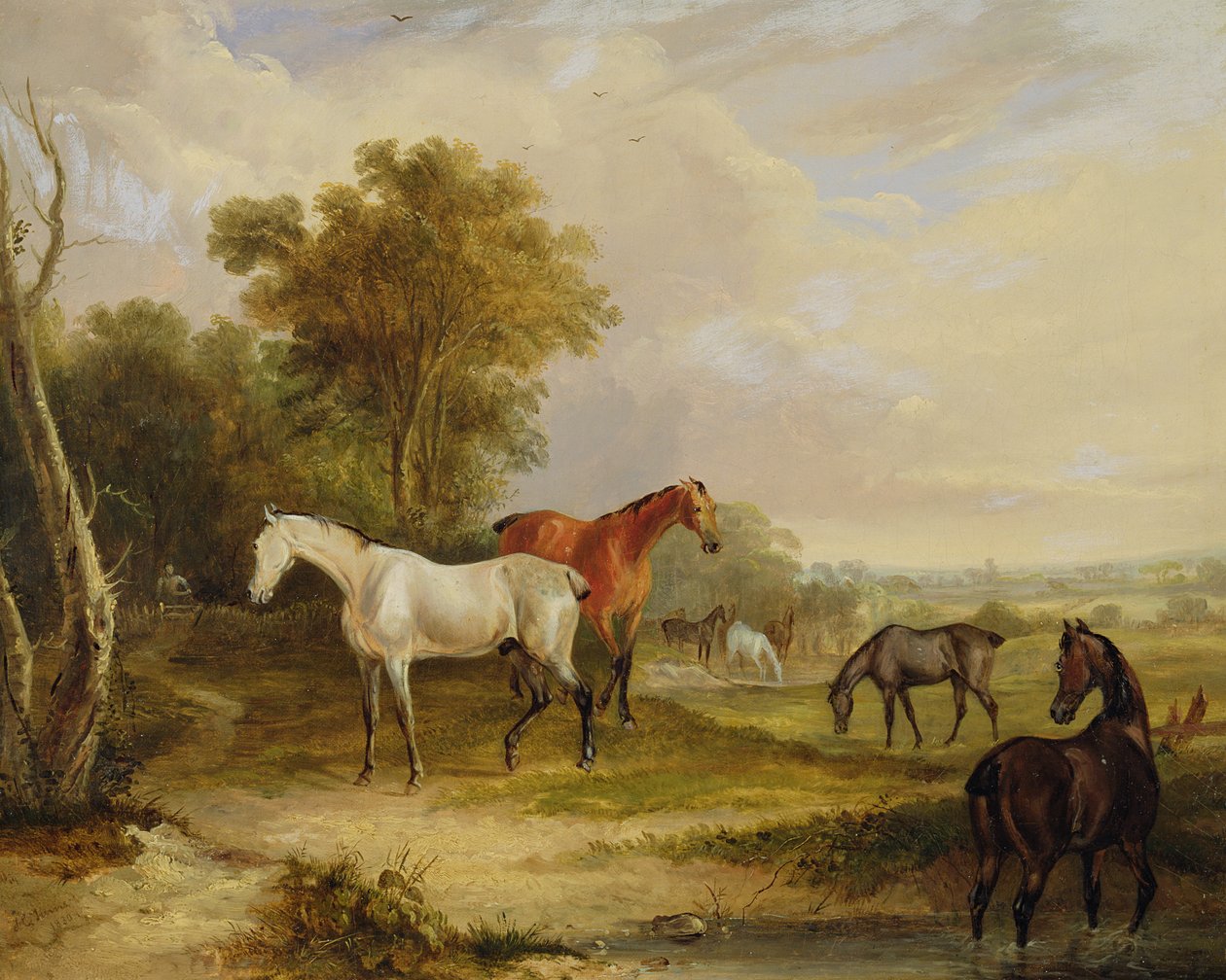 Pasoucí se koně: Šedý hřebec pasoucí se s Mares na louce (olej na plátně) od Francis Calcraft Turner