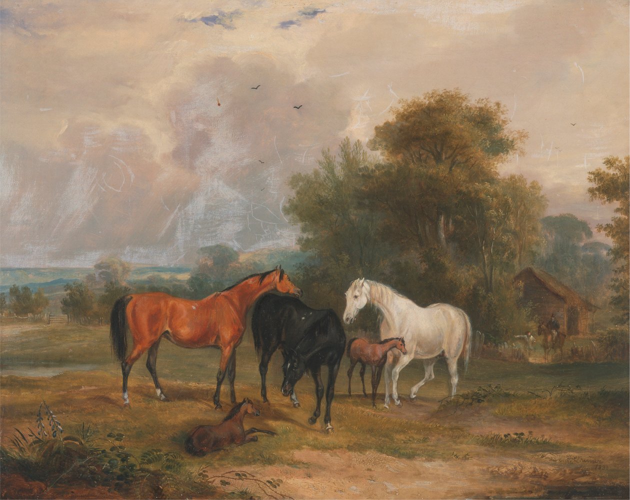 Pasení koní: Klisny a hříbata v poli od Francis Calcraft Turner