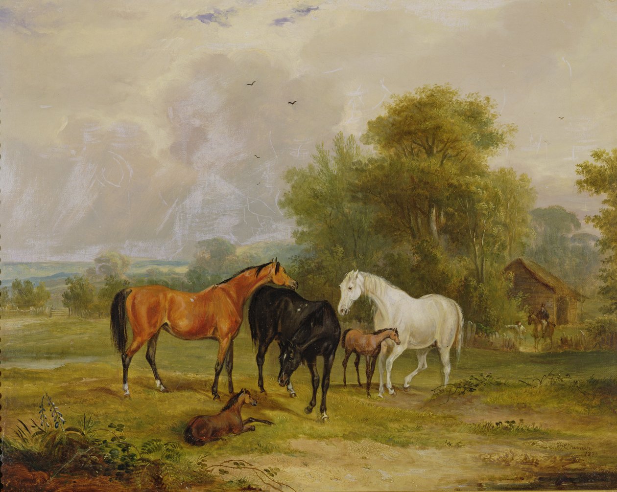 Pasení koní: Klisny a hříbata v poli od Francis Calcraft Turner