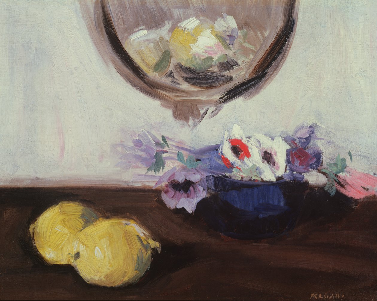 Sasanky a citrony od Francis Campbell Boileau Cadell