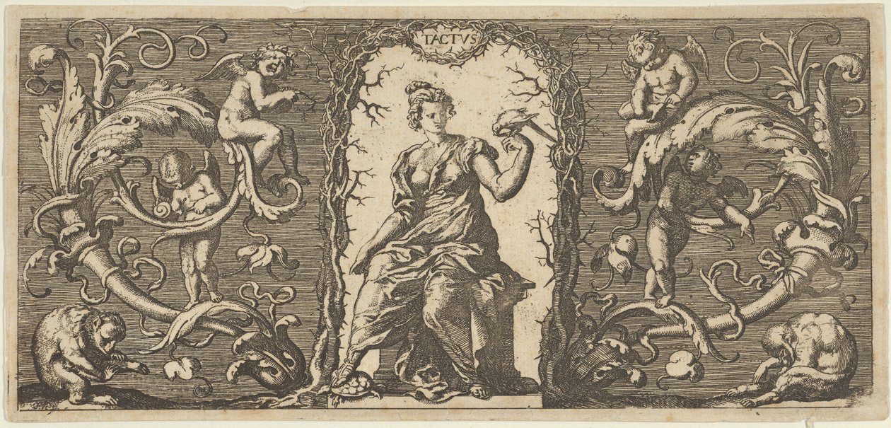Touch Tactus, od Five Senses Five Senses, ca. 1655 od Francis Cleyn