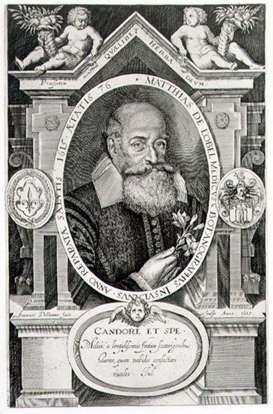 Portrét Matyáše de Lobel (1538-1622) vyrytý umělcem od Francis Delaram