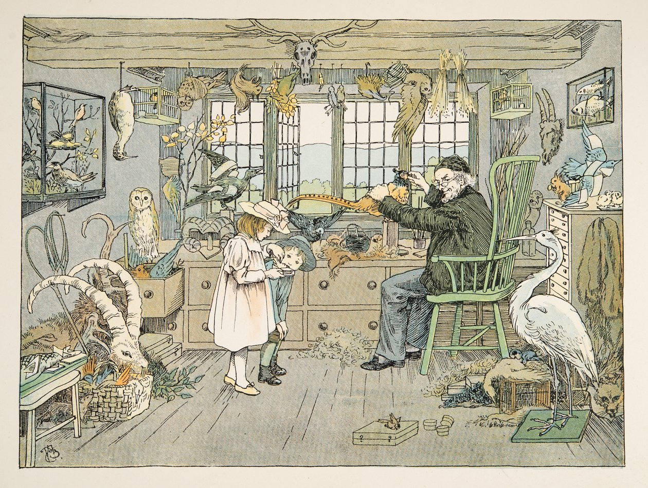 The Bird Stuffer, z knihy Four and Twenty Toilers, pub. 1900 (barevná litografie) od Francis Donkin Bedford