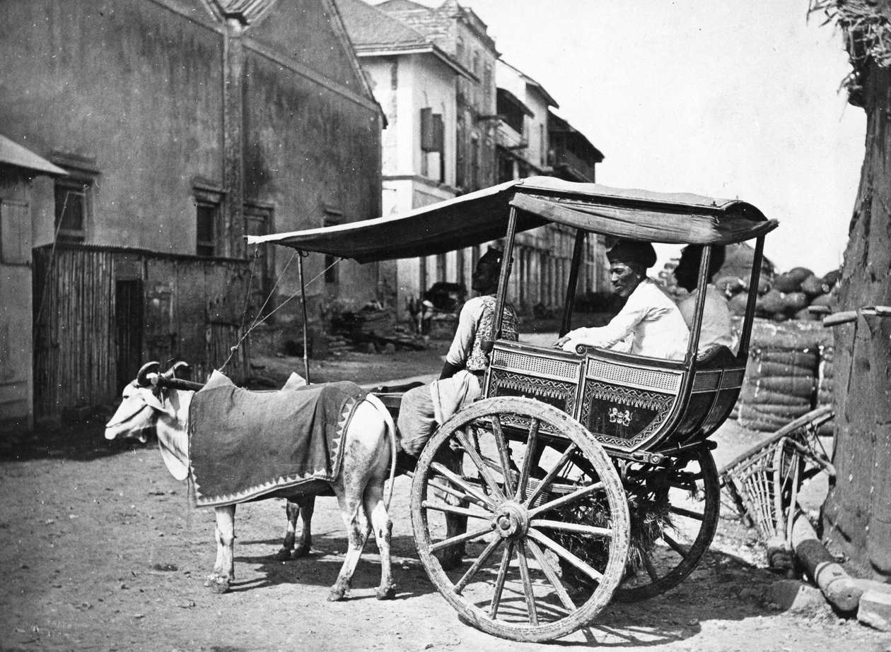 Bombay Hackerry, kolem roku 1875 od Francis Frith