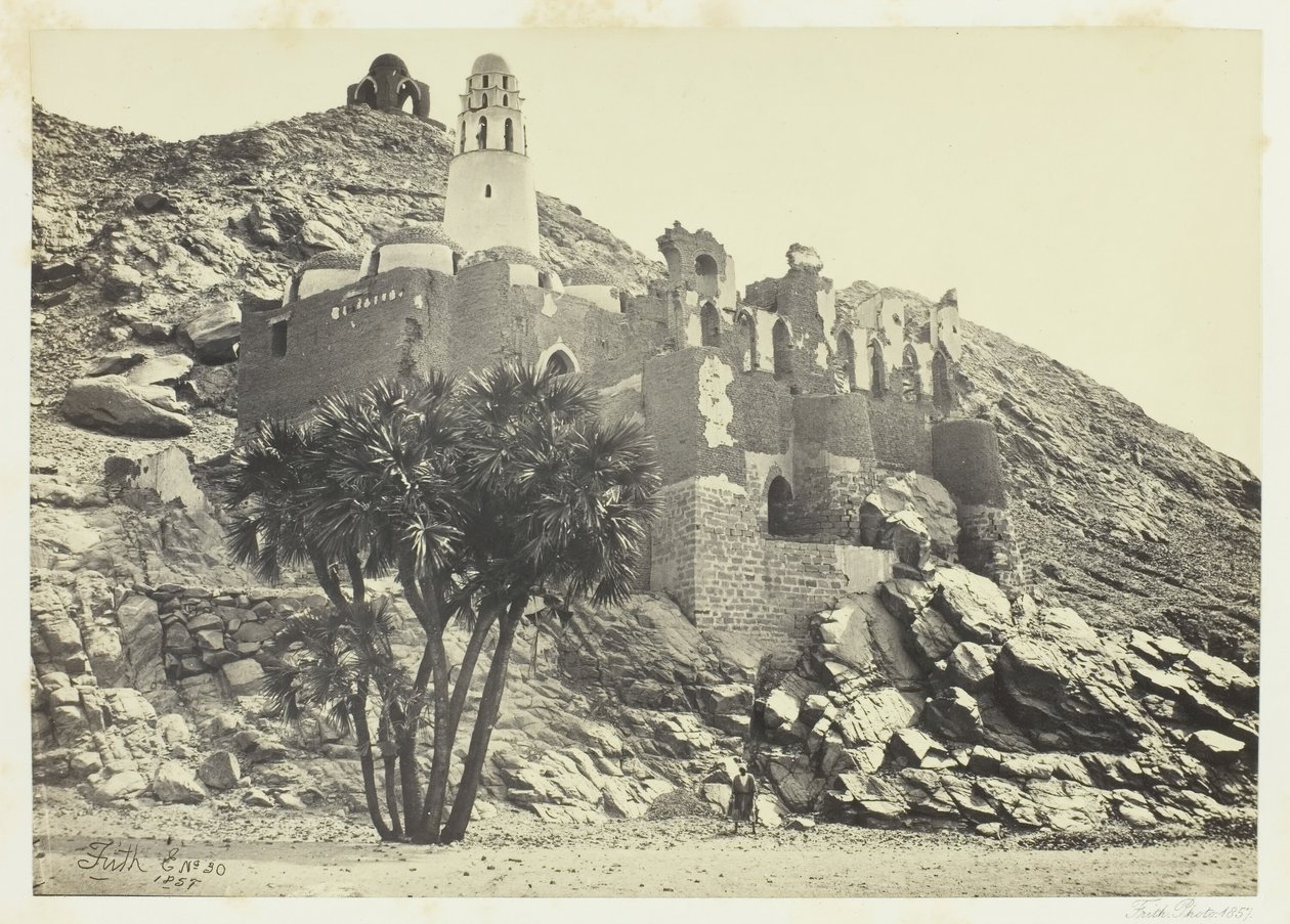 Doum Palm a zničená mešita, Philæ, 1857. od Francis Frith