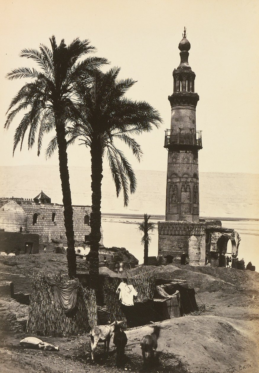 "Egypt a Palestina": pohled na Girgeh, Horní Egypt od Francis Frith
