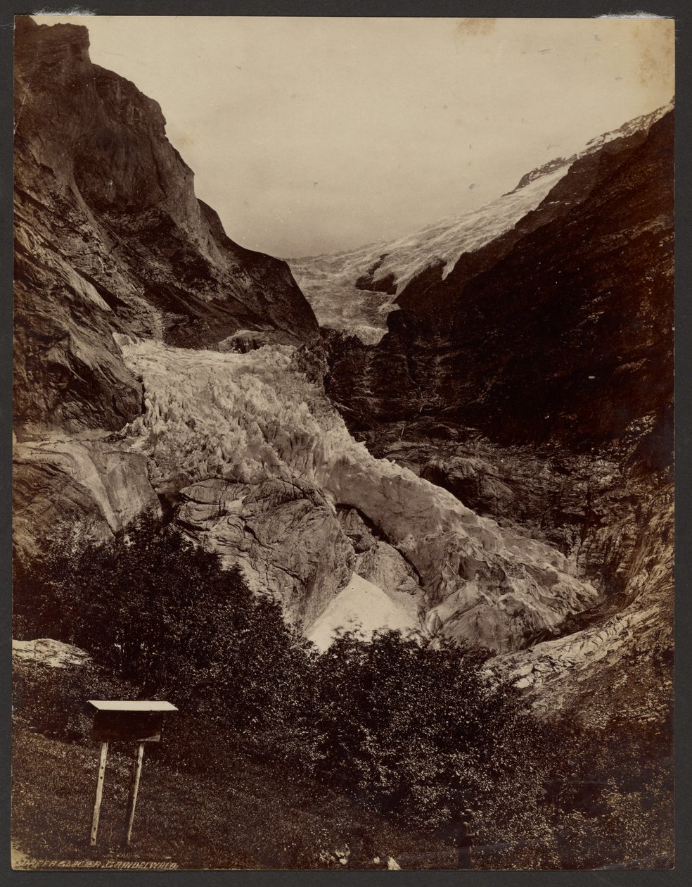 Horní ledovec v Grindelwaldu od Francis Frith
