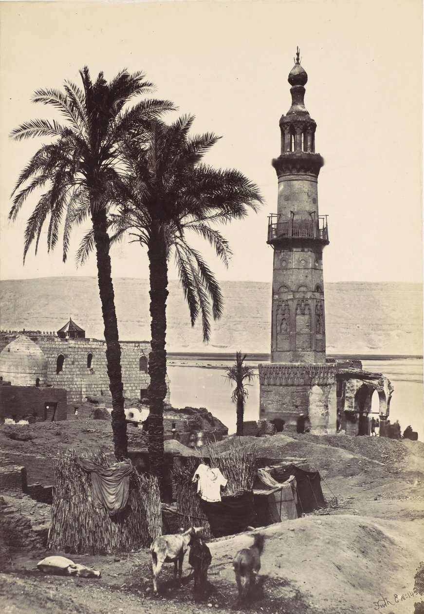 Pohled na Girgeh, 1857. od Francis Frith
