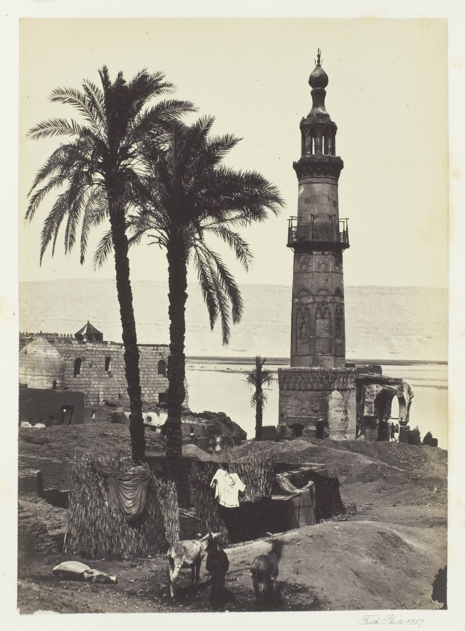 Pohled na Girgeh, Horní Egypt od Francis Frith