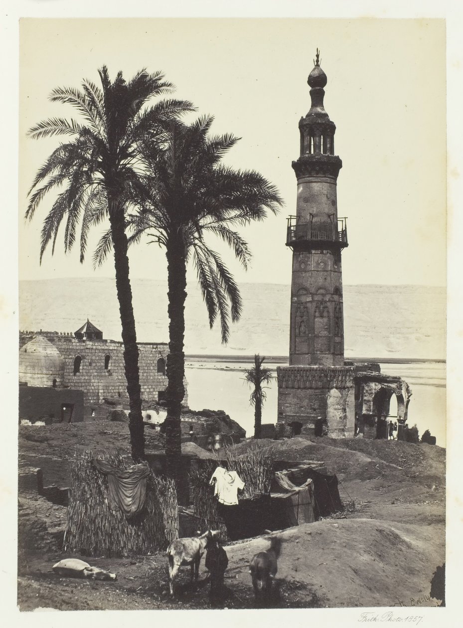 Pohled na Girgeh, Horní Egypt, 1857. od Francis Frith