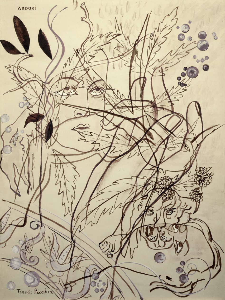 Aedori od Francis Picabia