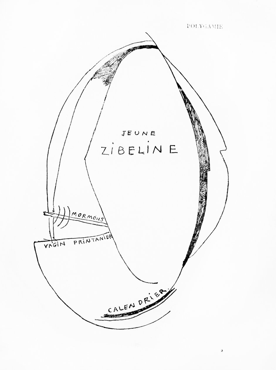 Poemes et Dessins de la Fille nee sans Mere, č. 15, vydalo nakladatelství Imprimeries Reunies, Lausanne. od Francis Picabia