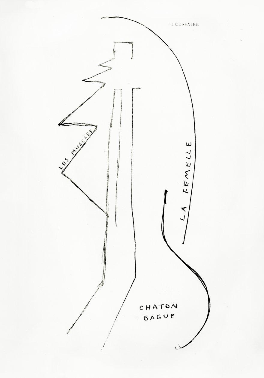 Poemes et Dessins de la Fille nee sans Mere, č. 23, vydalo nakladatelství Imprimeries Reunies, Lausanne. od Francis Picabia