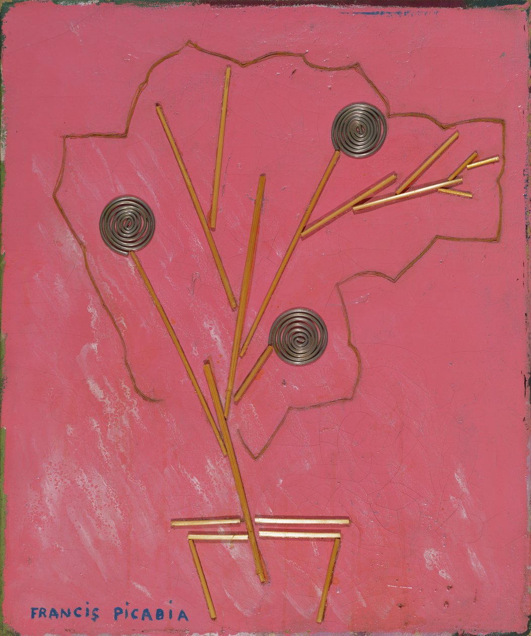Váza s květinami, asi 1924-25 (kombinovaná technika na plátně) od Francis Picabia