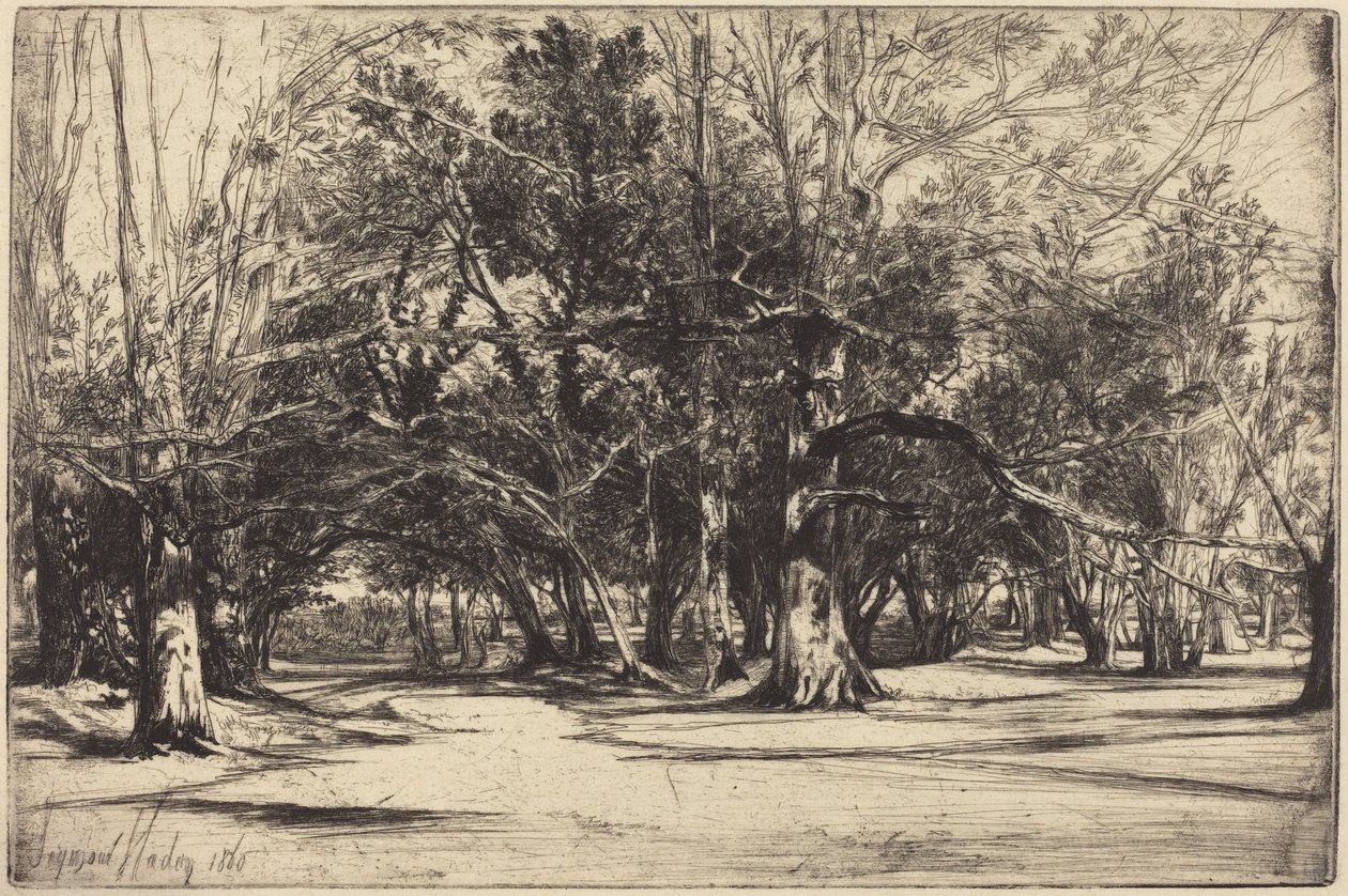 Vedlejší cesta v Tipperary od Francis Seymour Haden