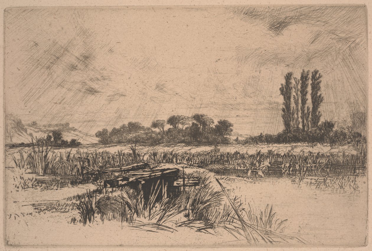 Vodní louka (lept a suchá jehla) od Francis Seymour Haden