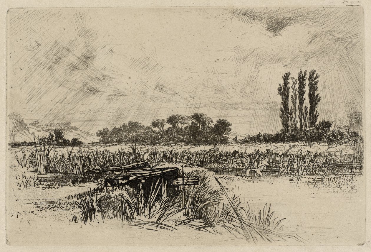Vodní louka od Francis Seymour Haden