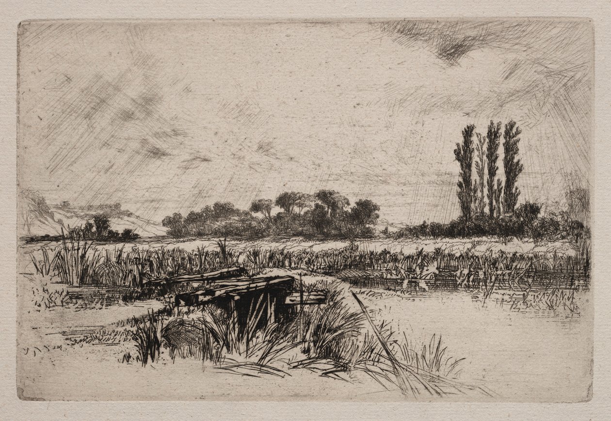 Vodní louka, 1859. od Francis Seymour Haden