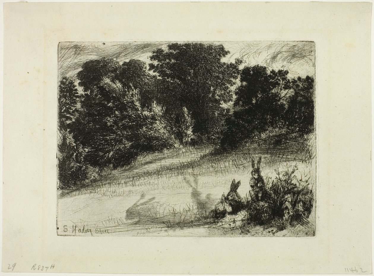 Hřebenové dno od Francis Seymour Haden