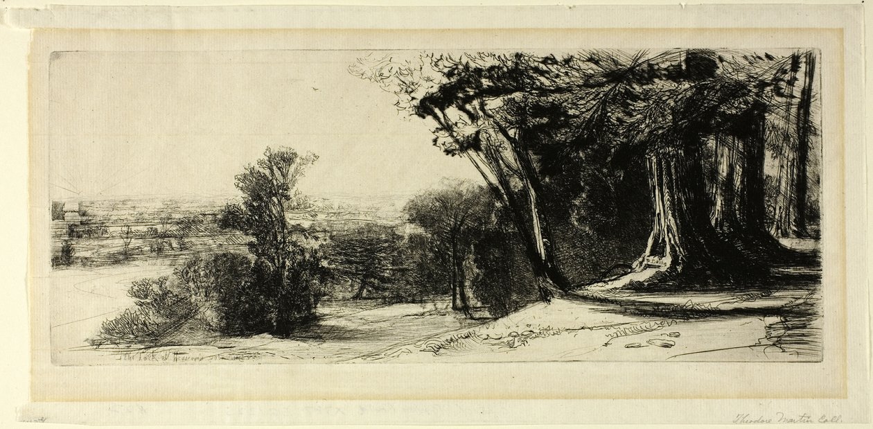 Brzy ráno, Richmond Park od Francis Seymour Haden