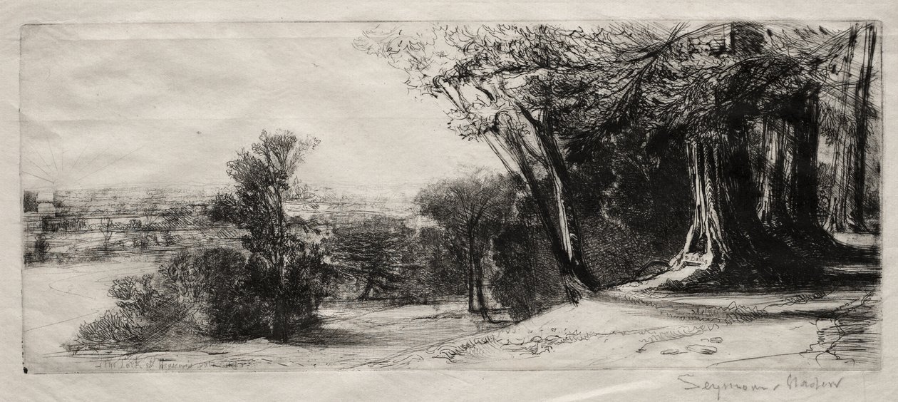 Brzy ráno, Richmond Park od Francis Seymour Haden