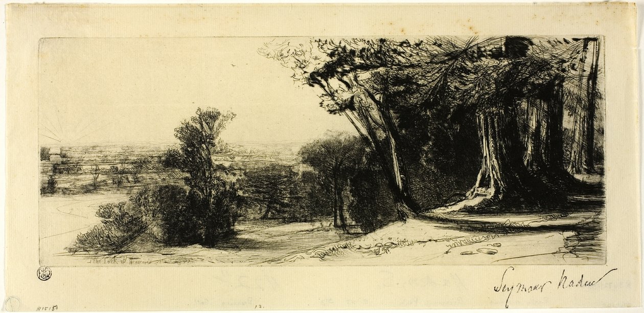Brzy ráno, Richmond Park od Francis Seymour Haden
