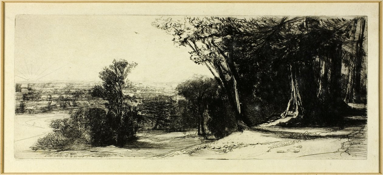 Brzy ráno, Richmond Park od Francis Seymour Haden