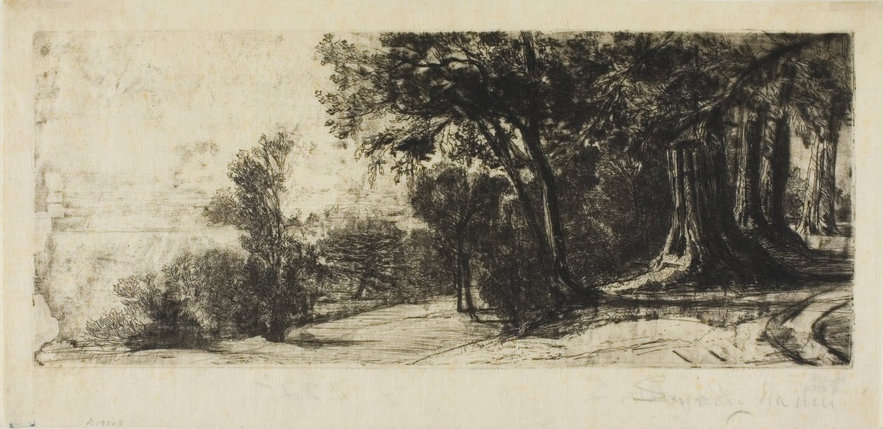 Brzy ráno, Richmond Park od Francis Seymour Haden