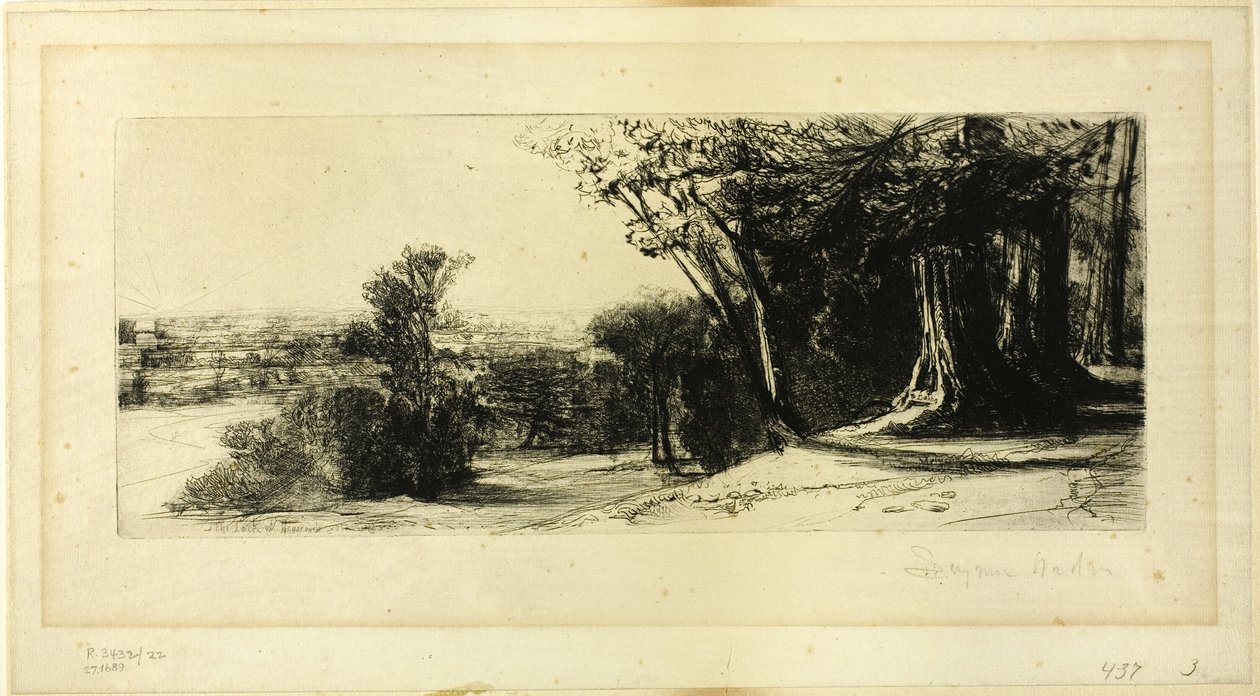 Brzy ráno, Richmond Park od Francis Seymour Haden