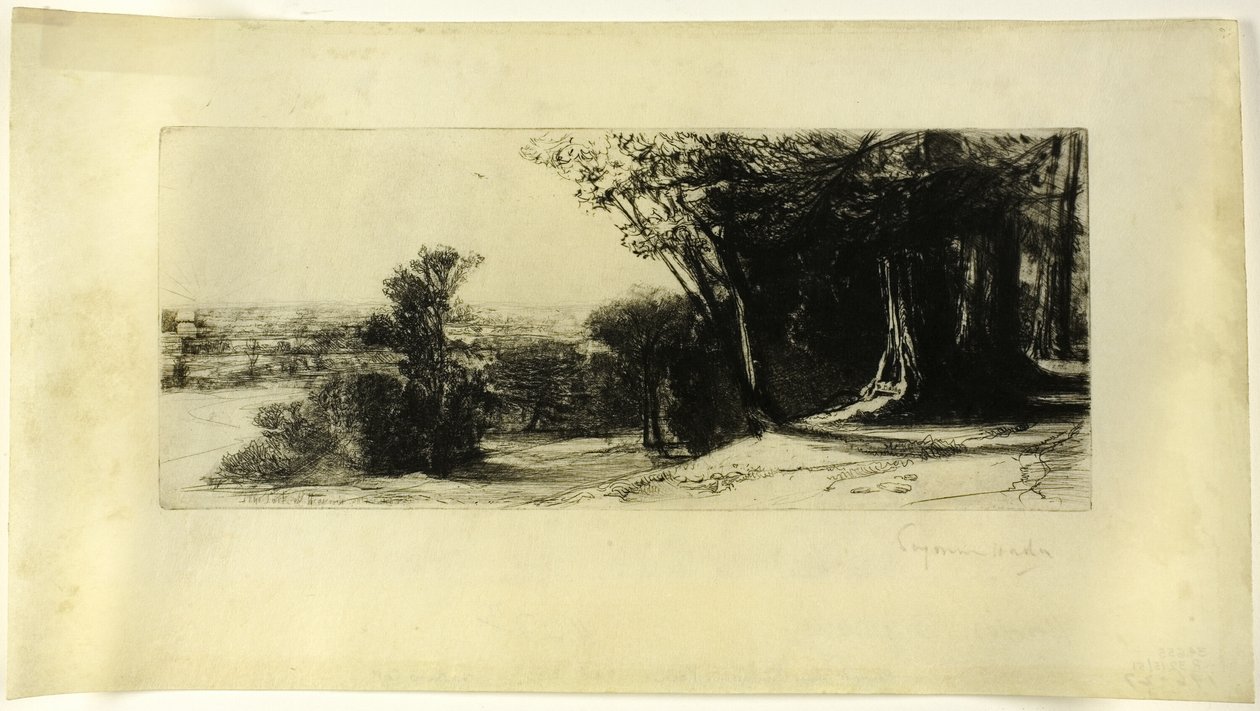 Brzy ráno, Richmond Park od Francis Seymour Haden