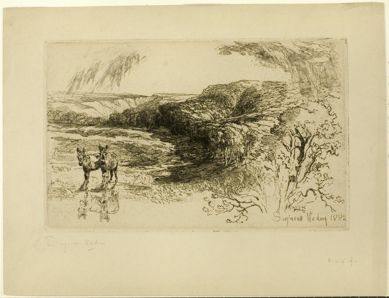 Encombe Woods, č. II od Francis Seymour Haden