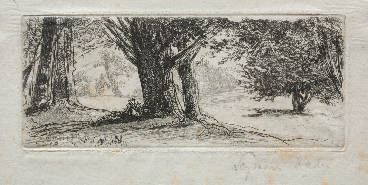 Holly Field od Francis Seymour Haden