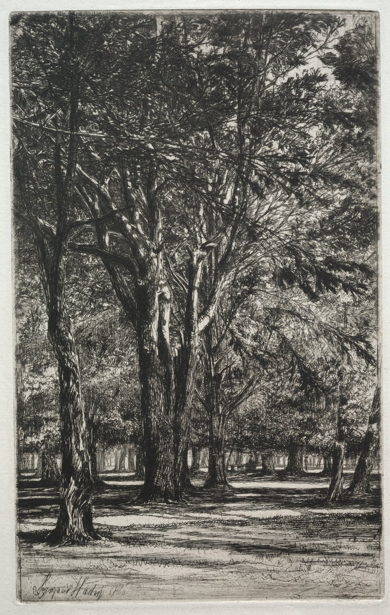 Kensingtonské zahrady (The Large Plate) od Francis Seymour Haden