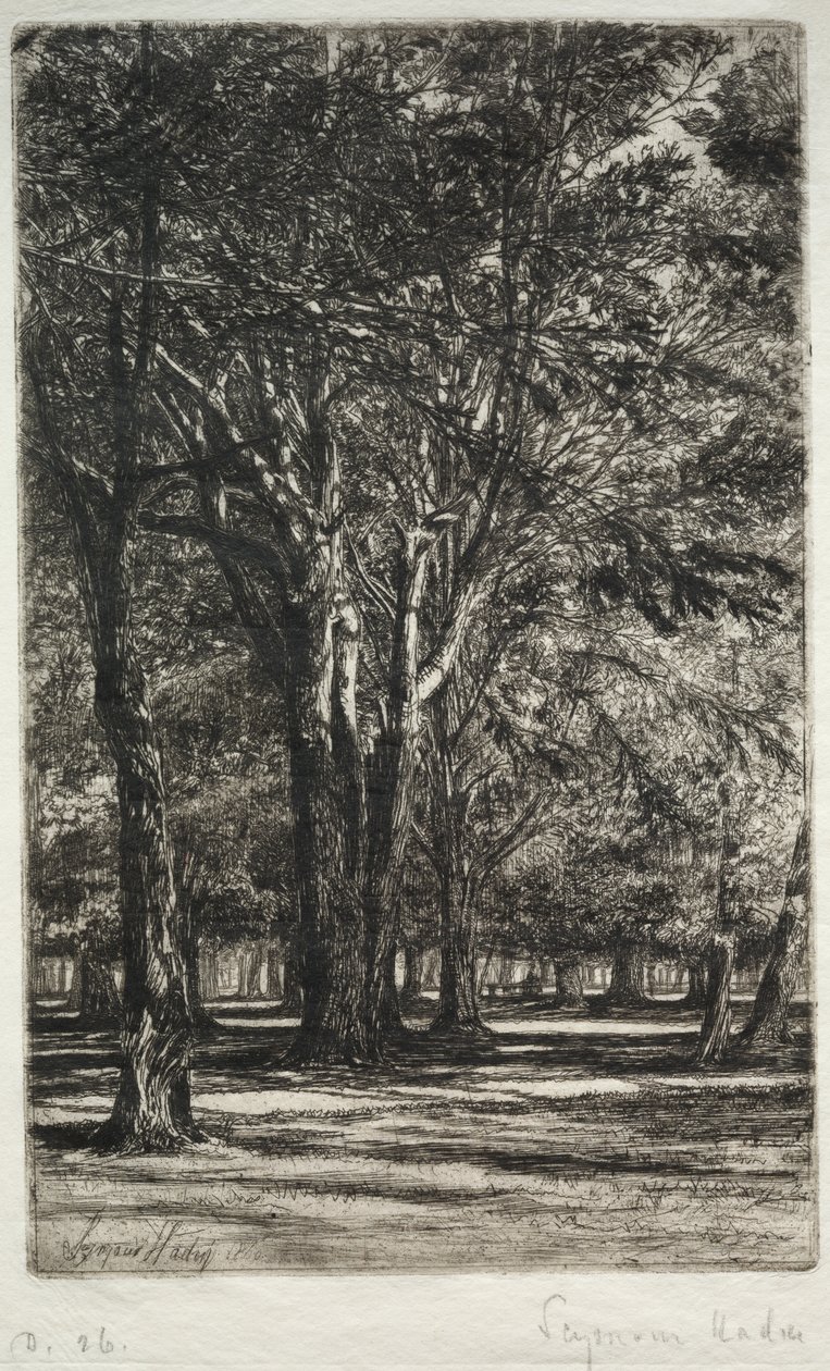Kensingtonské zahrady (Větší talíř) od Francis Seymour Haden