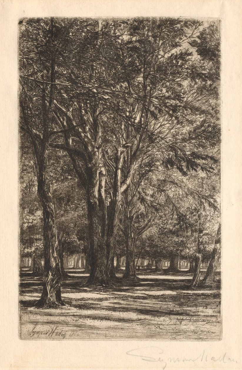 Kensington Gardens, č. 2 (velký talíř) od Francis Seymour Haden