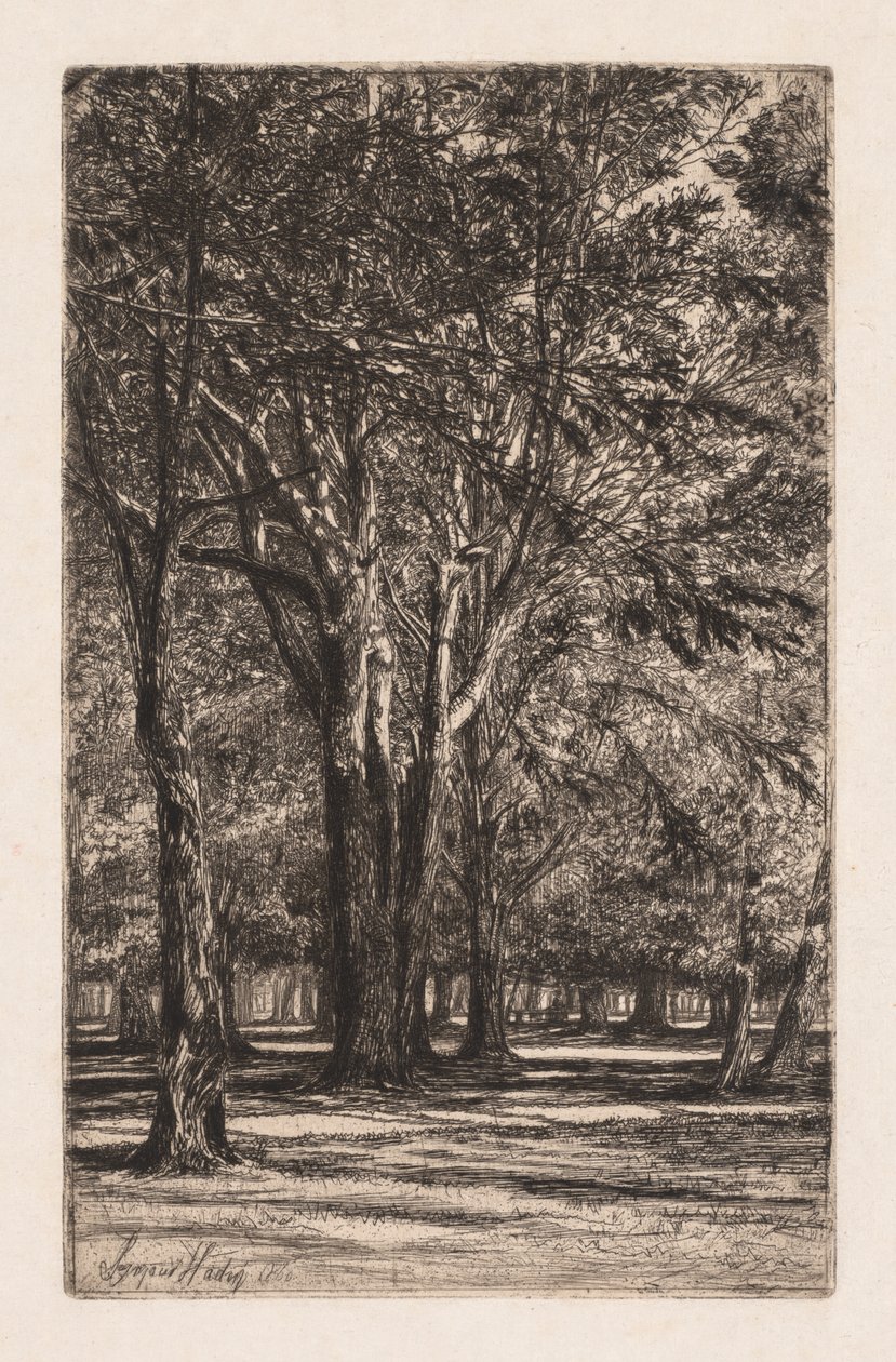 Kensington Gardens, č. 2 (Větší talíř) od Francis Seymour Haden