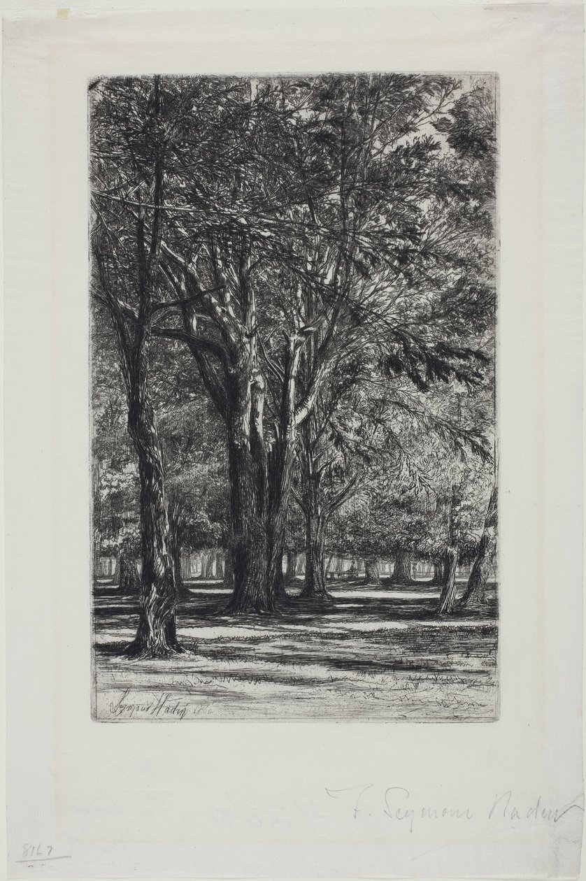 Kensington Gardens, č. II (velký talíř) od Francis Seymour Haden