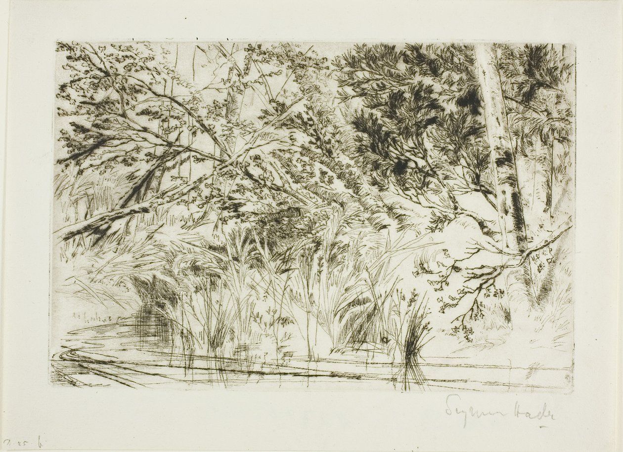 Ústa potoka, č. II od Francis Seymour Haden