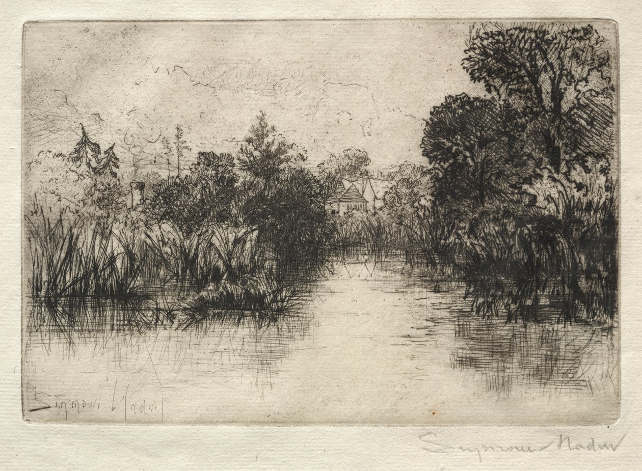 Shere Mill Pond (malá studie) od Francis Seymour Haden