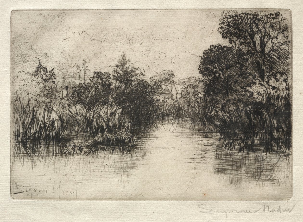 Shere Mill Pond Malá Studie. od Francis Seymour Haden