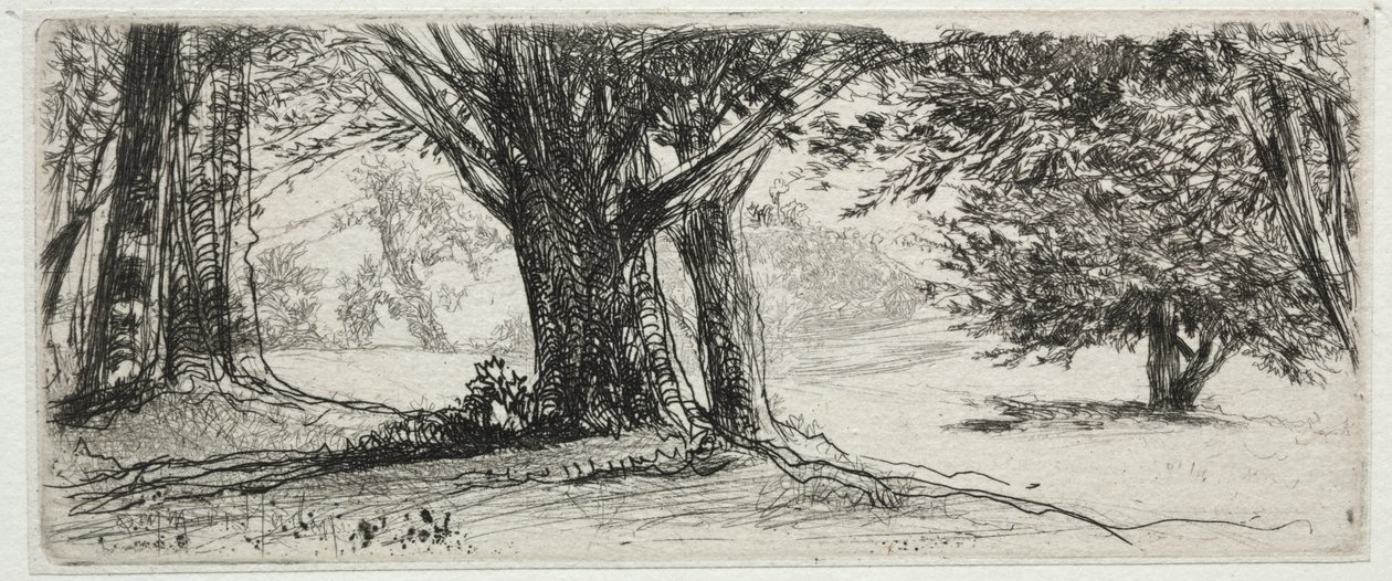 Cesmínové pole od Francis Seymour Haden