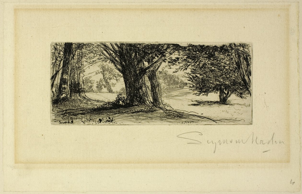 Cesmíná pole od Francis Seymour Haden
