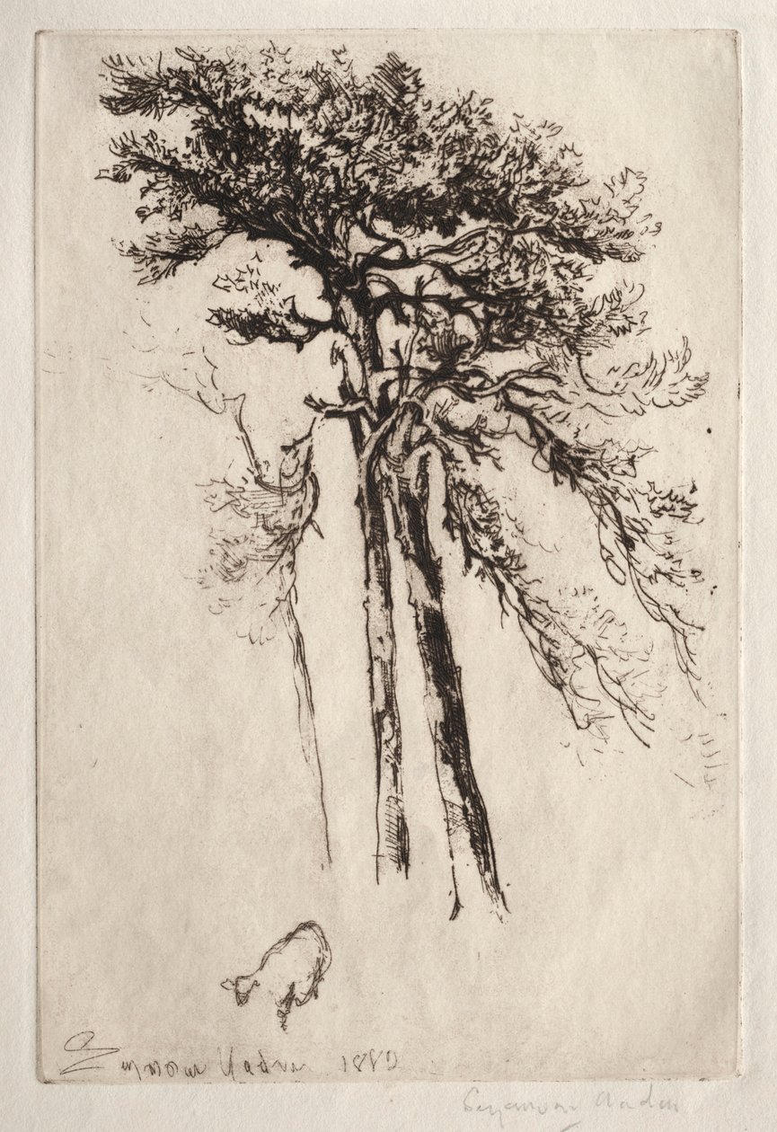 Nejnovější strom, 1882. od Francis Seymour Haden