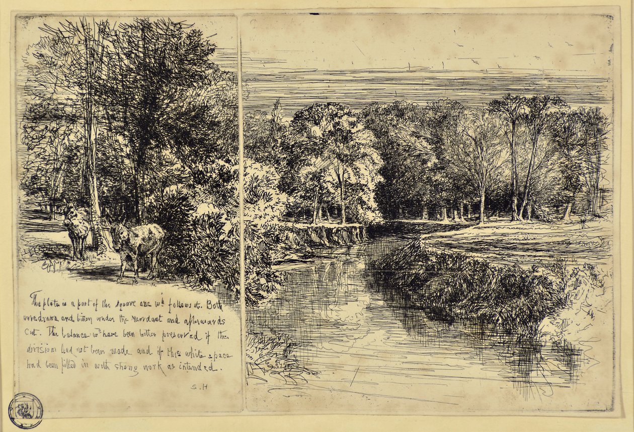 Dva osli a řeka Dundrum od Francis Seymour Haden